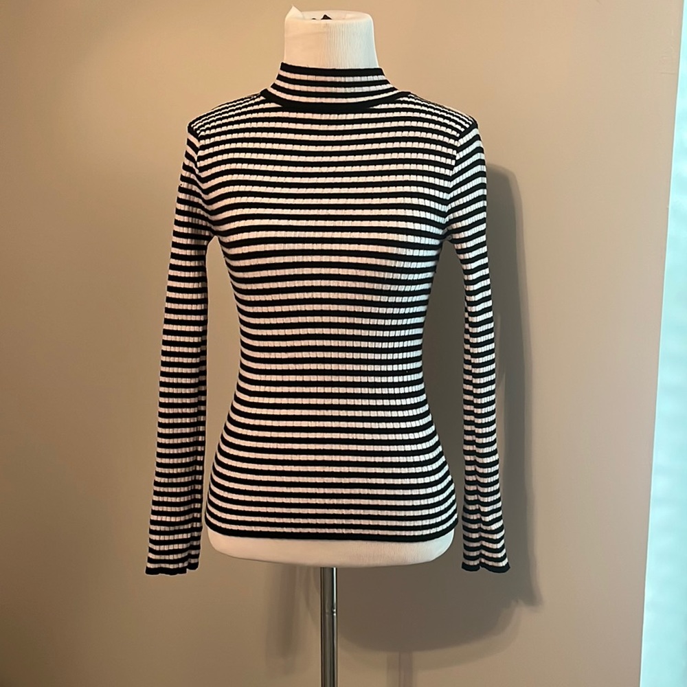 Fitted Striped Black and White Turtleneck ling sleeve Top